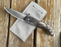 Nino Modèle Saracca Romagnola