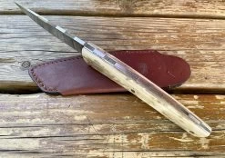 Beillonnet Robert Thiers Mammouth