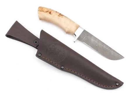 Bulat Volya Couteau De Chasse En Damas 4 Bulat Volya Couteau De Chasse En Damas – Image 2