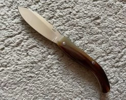 Nino Modèle Maremmano