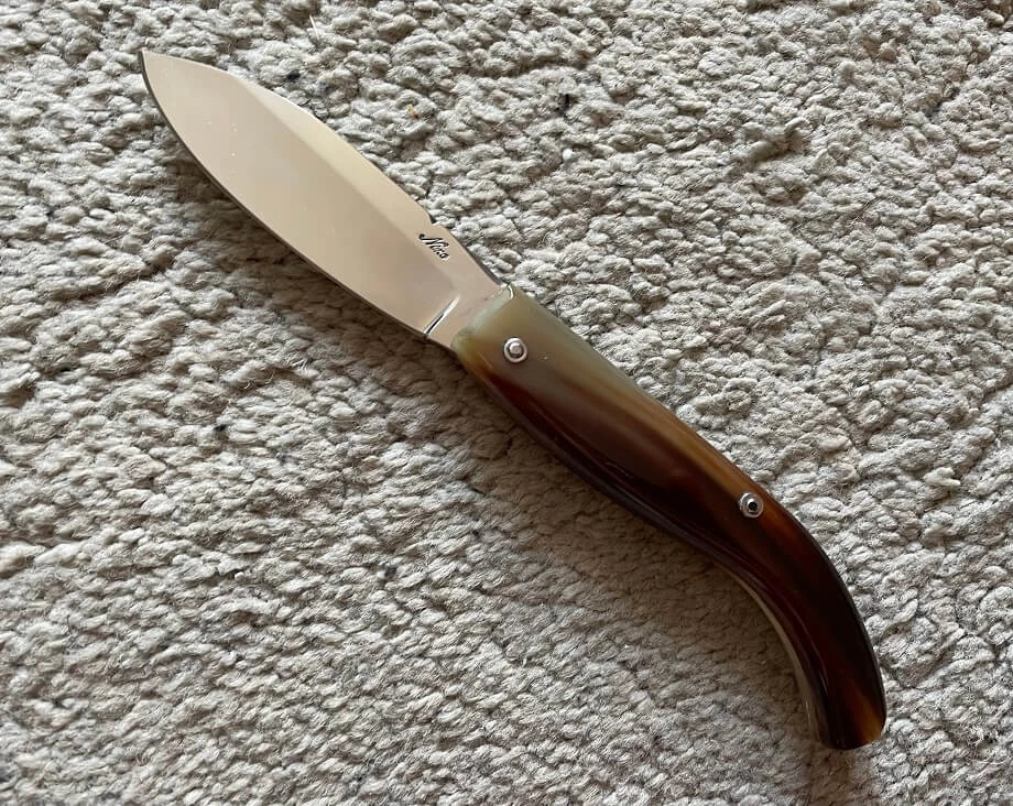 Nino Modèle Maremmano 3 Nino Modèle Maremmano