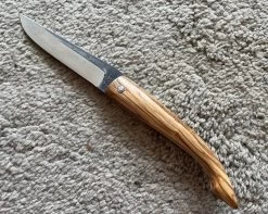 Viale José Capulagui Olivier